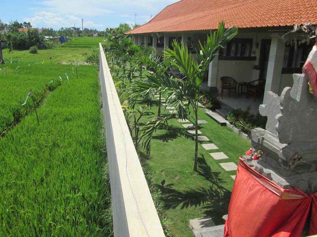 Ayu Guest House 2 Canggu Kültér fotó